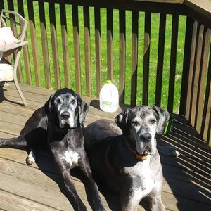 Meet your Posher, Candy